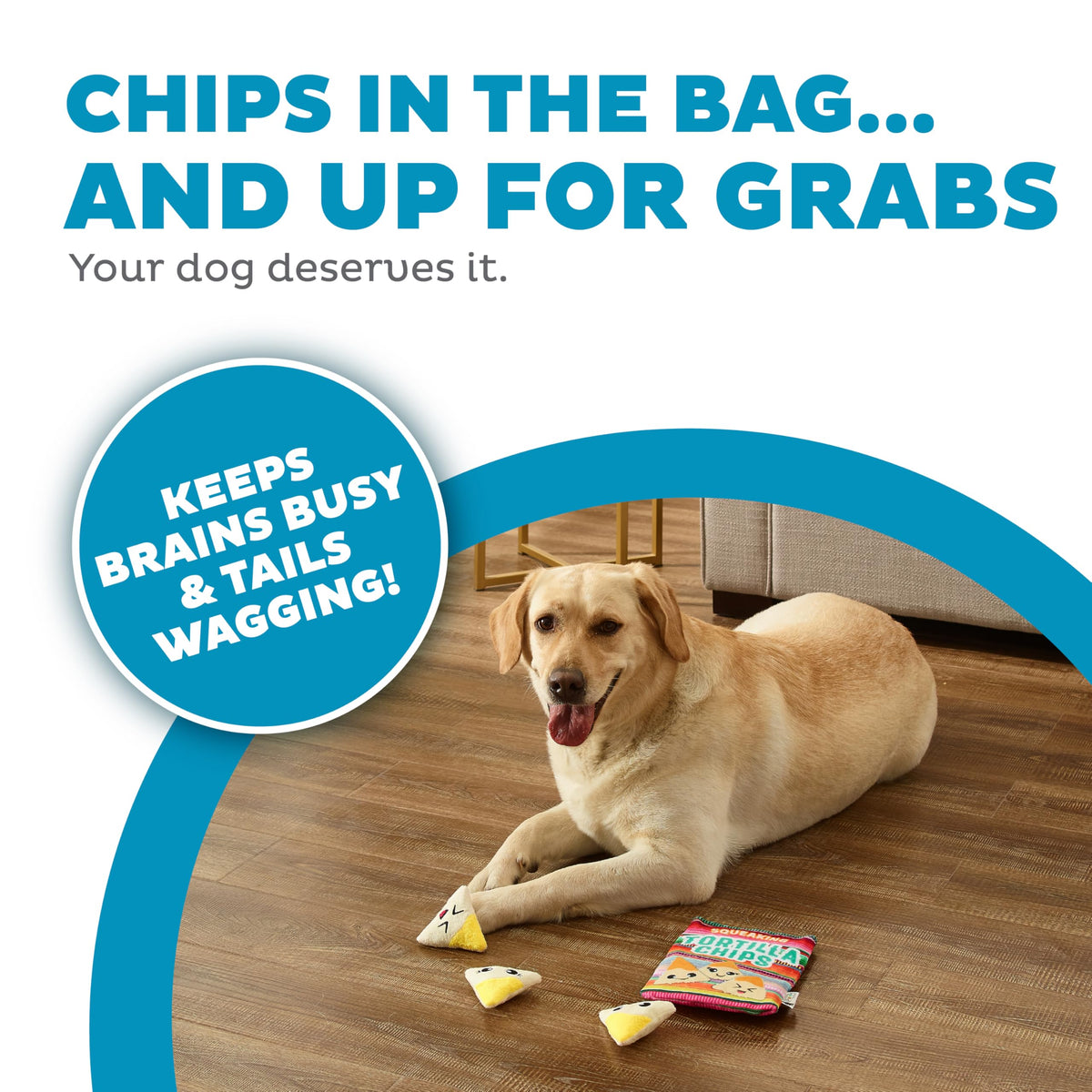 Tortilla Chips Puzzle Squeaky Dog Toys N571028